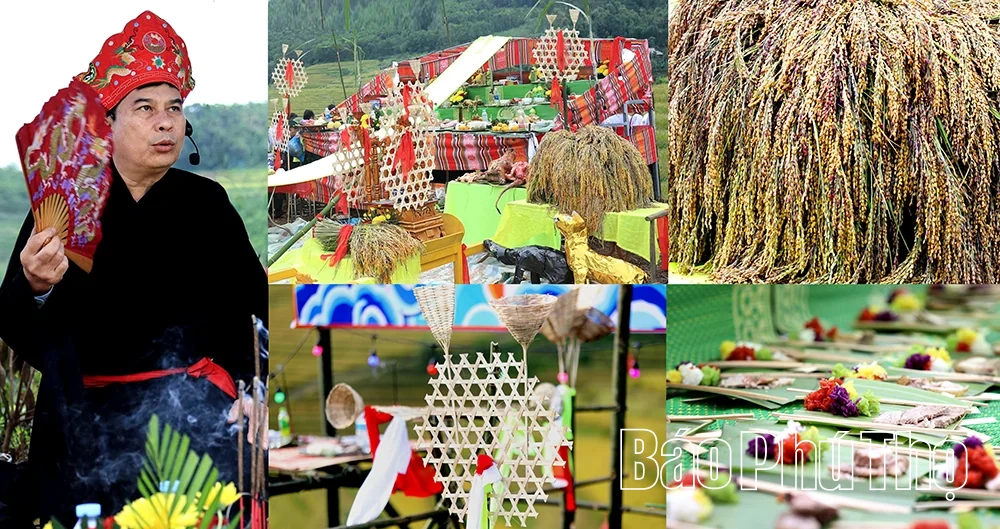 Hồn lúa trong lễ cơm mới giữa mùa vàng ở Miền Đồi