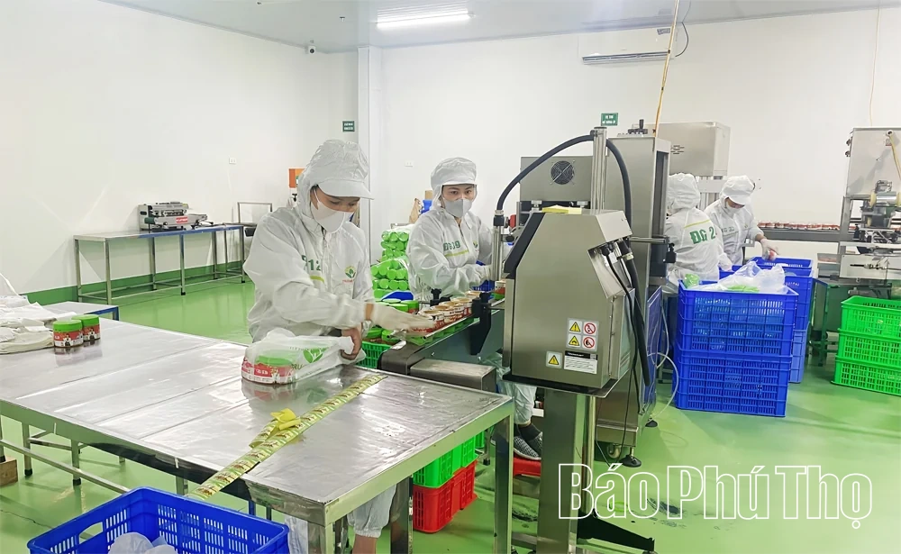 Tăng cường hoạt động xúc tiến thương mại, mở rộng thị trường dịp cuối năm