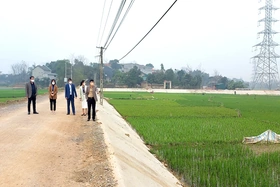 Hùng Lô lãnh đạo xây dựng nông thôn mới nâng cao