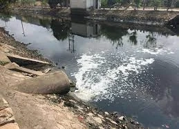 Xử phạt vi phạm hành chính trong lĩnh vực bảo vệ môi trường