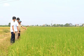 Khai thác tiềm năng, thế mạnh để xây dựng nông thôn mới nâng cao