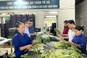 Tăng cường quản lý nguồn gốc sản phẩm rau, củ, quả