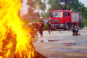 Nỗ lực “cứu cái còn trong cái mất”