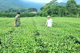 Để tiềm năng thành thế mạnh phát triển CN-TTCN