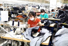 Phát triển tổ chức Đảng trong doanh nghiệp ngoài nhà nước