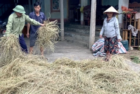 Không để dịch bệnh diễn biến phức tạp trên đàn vật nuôi