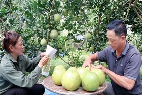Hướng đến phát triển chính quyền số, kinh tế số, xã hội số