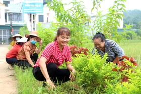 Bức tranh nông thôn mới nâng cao