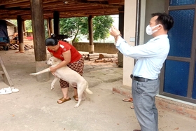 Tân Sơn tăng mạnh công tác làm việc chống kháng ngớ ngẩn chó, mèo