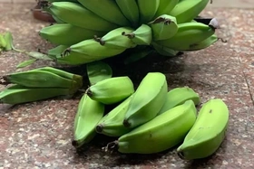 Hé lộ 5 thực phẩm tốt nhất giải quyết tình trạng dạ dày khó chịu
