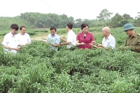 Nâng cao chất lượng công tác của cán bộ, công chức cơ sở