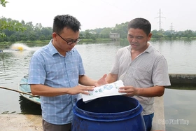 Chủ động kiểm soát các nguồn gây ô nhiễm môi trường