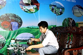 “Vị ngọt” Trà hoa đu đủ đực - xạ đen tía Cẩm Khê