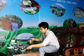 “Vị ngọt” Trà hoa đu đủ đực - xạ đen tía Cẩm Khê