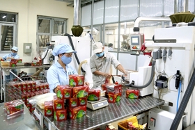 Thúc đẩy thị trường lao động những tháng cuối năm