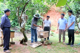 Xung kích trong phát triển kinh tế