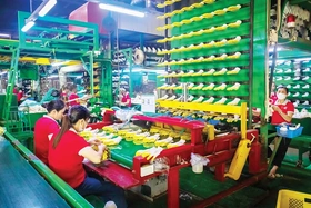 Phát triển cụm công nghiệp bền vững