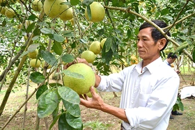 Sắp xếp đơn vị hành chính cấp xã đúng lộ trình