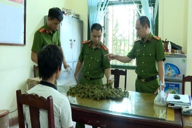 Tạo chuyển biến mạnh mẽ trong công tác phòng, chống ma túy