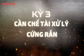 Kỳ 3: Cần chế tài xử lý cứng rắn
