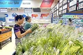 Hiện đại hạ tầng thương mại