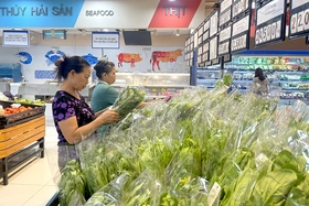 Hiện đại hạ tầng thương mại