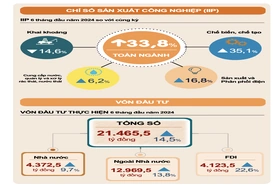 Chỉ số sản xuất công nghiệp của tỉnh tăng trưởng mạnh 6 tháng đầu năm 2024