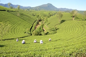 Kỳ 2: Nghĩa tình trên quê mới