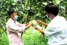 Nhiều hoạt động hỗ trợ hợp tác xã nâng cao năng lực cạnh tranh