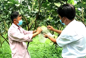Nhiều hoạt động hỗ trợ hợp tác xã nâng cao năng lực cạnh tranh