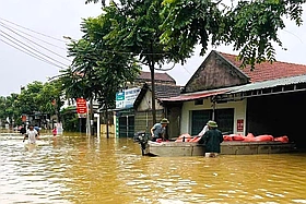 5 lưu ý cơ bản về an toàn thực phẩm sau khi hết lũ lụt