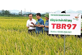 Mô hình quản lý cây trồng tổng hợp IPM/IPHM mang lại hiệu quả kinh tế cao