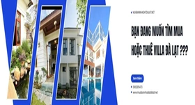 Theo dõi biến động nhà đất Đà Lạt dễ dàng trên muabannhadatdalat.net