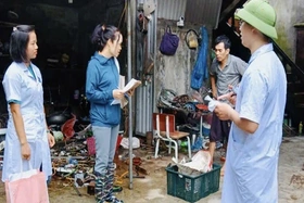 Nguy cơ dịch bệnh sốt xuất huyết tiếp tục gia tăng tại Hà Nội