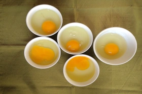 Cách nhìn màu sắc lòng trứng nên biết