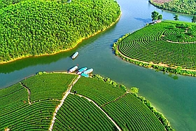 Hành trình khám phá văn hóa ẩm thực du lịch Nghệ An