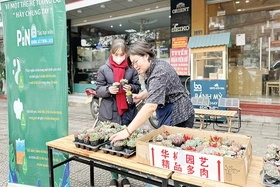 Đổi pin lấy cây - Hành động nhỏ, ý nghĩa lớn