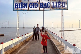 Trên những cánh đồng “gặt” gió
