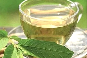 9 trường hợp nên dùng nước lá ổi thường xuyên hơn