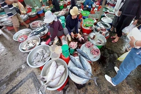 Giá một số mặt hàng tiêu dùng ngày 7/4/2025