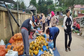 Giá cả thị trường ngày 29/6/2025