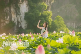 Sắc sen Hang Múa