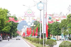 Phường Hoà Bình sẵn sàng cho Đại hội Đảng bộ nhiệm kỳ mới