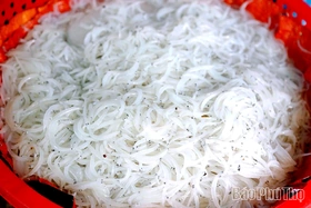 Cá ngần - “Ngọc tuyết” sông Đà