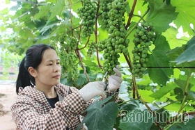 Nông dân thời công nghệ
