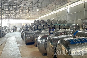 Phát huy loại hình kinh tế tư nhân tại Công ty Cổ phần Cơ kim khí Việt Á