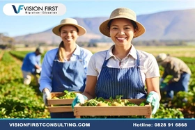 Vision First đồng hành cùng bạn định cư diện tay nghề Úc