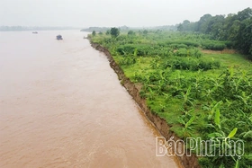 Chủ động ứng phó với lũ đặc biệt lớn trên sông Thao