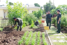 Tích cực tăng gia sản xuất, góp phần nâng cao đời sống bộ đội