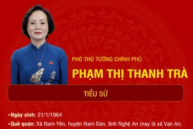 Tiểu sử Phó Thủ tướng Phạm Thị Thanh Trà